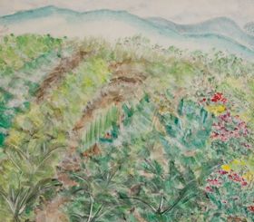 5.野菜畑