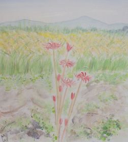 20.彼岸花